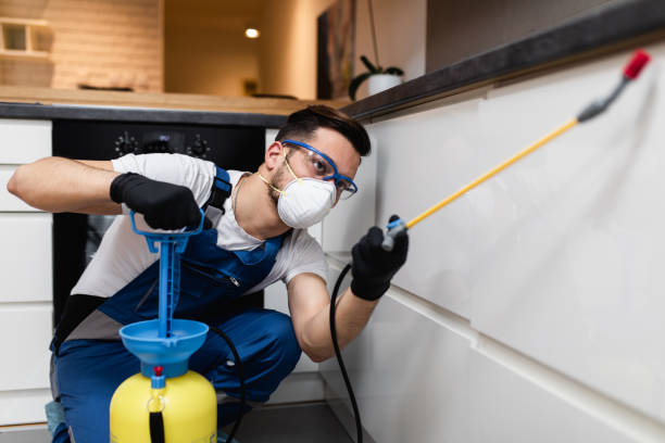 Best Residential Pest Control  in Plainwell, MI