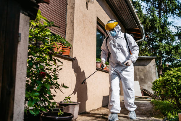 Best Pest Removal Services  in Plainwell, MI