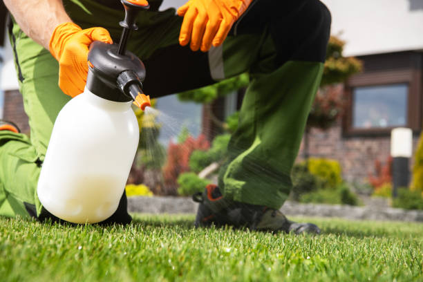 Best Wildlife Control Services  in Plainwell, MI