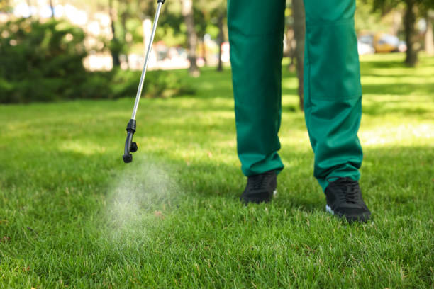 Best Flea Control Services  in Plainwell, MI