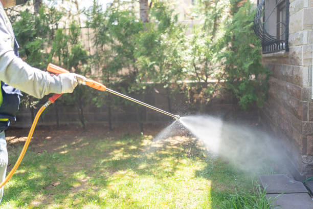 Best Wildlife Control Services  in Plainwell, MI